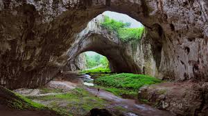 Cave Rock Verdure 2015 Bing Fond D Ecran Apercu 10wallpaper Com Fonds d'écran et wallpapers windows 10 à télécharger sur justgeek.fr. cave rock verdure 2015 bing fond d