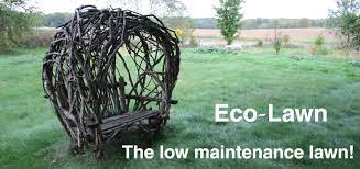 How did it work for you? Eco Lawn