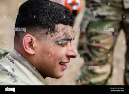 U s army combatives hi-res stock photography and images