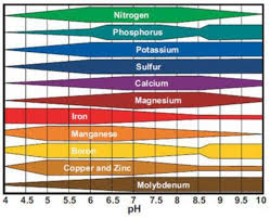 Mulders Chart The Daily Garden