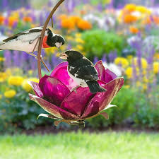 Check spelling or type a new query. 40 Bird Feeder Hanging Metal Flower Bird Feeder Garden Decoration Outdoor Pole Art Feeder Cage For Birds Birdhouses For Outside Super Offer 81b919 Goteborgsaventyrscenter