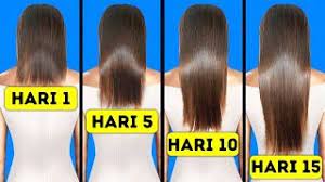 Agar hasilnya maksimal, gunakan masker rambut setiap seminggu sekali. 31 Tips Untuk Kecantikan Rambut Youtube