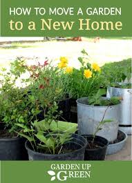 Check spelling or type a new query. Garden Up Green Startle Garden And Quail Moving Plants Garden Gardening Tips