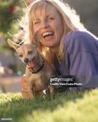 ACCESS* Gidget the Taco Bell dog during a photo session in October... News  Photo