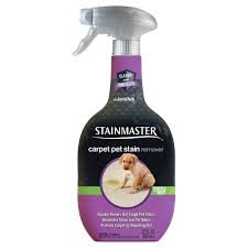 Bissell Professional Pet Stain And Odor Stainmaster Carpet Pet Stain Odor Remover Cleaner 22 Fl Oz Remove Pet Stains Pet Stains Stain Remover