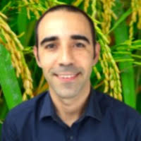 8000+ perfis com “Serpa”