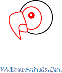 How To Draw A Simple Parrot For Kids Today i am drawing easy drawing how draw cute peacock from 2 number step by step learning doodle art on paper like. how to draw a simple parrot for kids