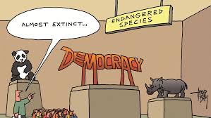And the essential value and power of democracy consists in this,—that it combines, as far as possible, power and organization ; Vad Ar Demokrati Sannerud Marionbakke27