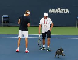 Height, weight & body stats alexander zverev the outstanding tennis player is 6′ 6″ (1.98 m) tall and his body is supported by a weight of 198 lbs (90kg). Aww Papa Son Zverev Happy Lovik Tennis Professional Tennis Players Tennis