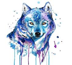 1001 Astuces D Artiste Pour Apprendre A Realiser Un Dessin De Loup Dessin De Loup Comment Dessiner Un Loup Loup Aquarelle