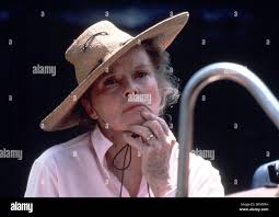 On golden pond hi-res stock photography and images