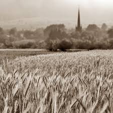 Ingrijire de un domn in etate. Drumul Painii Braseria Bizo