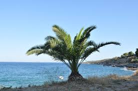 Καιρός, άνεμοι, μέγιστες και ελάχιστες θερμοκρασίες, ανατολή και δύση. I Lovegreece Com Paralia Agia Marina Stis Spetses