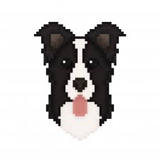 Border Collie Dog Head In Pixel Art Style Vector Premium
