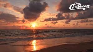 Download the background of your choice. Beach Background Gif For Zoom Https Encrypted Tbn0 Gstatic Com Images Q Tbn 3aand9gcqvq5qxxzdng8aee6cvbct5u5hbk8nqellc8q Usqp Cau As More And More People And Organizations Move Into Remote Working Setups Video Conference