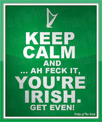  That S A Bunch Of Blarney Or At Least This Blog Is Dressed To A T Irish Quotes St Patricks Day Quotes Irish Funny