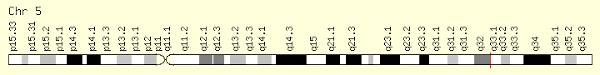 4 mois dakar, sénégal matériel médical. Mffp2 Gene Genecards Mffp2 Pseudogene