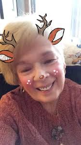 Recommendations for squirrel feeders behind fence?