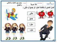 مفرد جمع ومثنى language arabic grade level أول أساسي وثاني وثالث school subject لغة عربية main content الكلمة نو learning arabic online workouts worksheets
