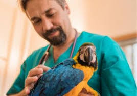 Marilyn Crabb's Instagram, Twitter & Facebook