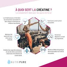 La créatinine plasmatique est le marqueur clé du diagnostic d'insuffisance rénale (ir) toute ira doit être la créatinine résulte de la dégradation de la créatine et de la phosphocréatine contenues dans les muscles. Les Effets De La Creatine En Musculation