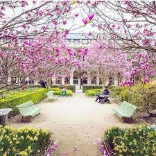 Maison Jardin On Instagram Magical Gardens And Classic Architecture In This Beautiful Setting Palais Royal Classic Architecture Paris France