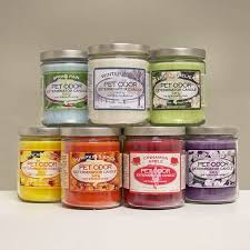 Pet odor specialty pet products exterminator, 13 ounce orange lemon splash jar candle and 13 ounce clothesline fresh jar candle. Dog Cat Candle Pet Odor Eliminator Candle Smoke Odor Exterminator Candle Dog Lover Gift Buy Dog Cat Candle Smoke Odor Exterminator Candle Pet Odor Eliminator Candle Smoke Odor Exterminator Candle Smoke Odor Exterminator