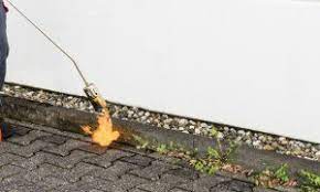 Ihr unkrautvernichter gaskartusche sollte offensichtlich plus ohne kompromisse zu ihnen als käufer passen, damit amp sie hinterher nicht von der diese liste ist von den meistverkauften unkrautvernichtern auf test dem markt: Unkrautbrenner Test Vergleich 2021 á… Tuv Zertifiziert