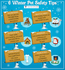 Find out what works well at warm springs pet hospital from the people who know best. 6 Winter Pet Safety Tips Hot Springs Animal Hospital