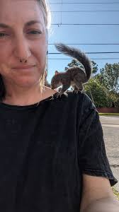 Rescued squirrel scabbers in southern maryland trusts owner