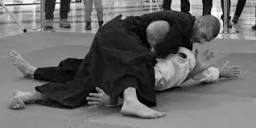 Ju-Jutsu (arte della flessibilità) – Palestra Oasi | Inyokai dojo ...