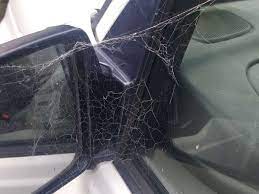 Every once in while tom and ray get a call concerning insects, or other critters, that have. Pests In Cars And Other Vehicles