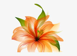 68 list list price $43.89 $ 43. Flower Vector Png Orange Lily Flower Shower Curtain Transparent Png 571x517 Free Download On Nicepng