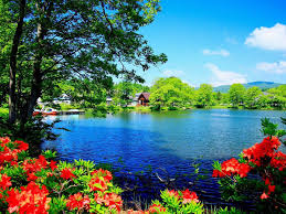 Download and use 10,000+ scenery stock photos for free. Most Beautiful Scenery Wallpapers Wallpaper Cave