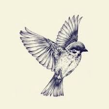 Bird In Flight Line Drawing Bird In Flight Line Drawing Google Search Bird Art Print Sparrow Tattoo Bird Drawings