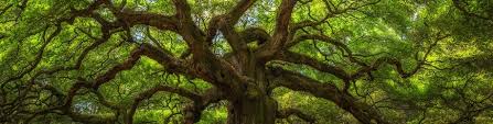 Maybe you would like to learn more about one of these? 3 Reasons To Check Out The New Dropdowntree Control