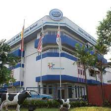 Internship for human resource management students. We Re Dutch Lady A Frieslandcampina Company Frieslandcampina Global Career Site