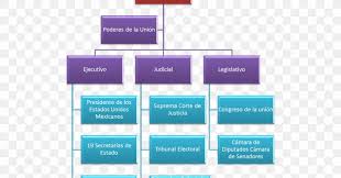 Organizational Chart Bp Cash Flow Management Png