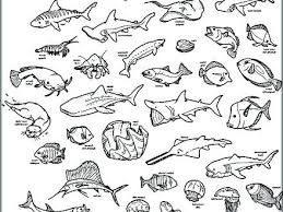 Coloring Pages Of The Ocean Ocean Animal Coloring Pages Ocean Coloring Pages Printable Ocean An Sea Animals Drawings Animal Coloring Pages Ocean Coloring Pages