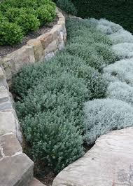 Gardens For Life Page 41 Of 64 Gardening Diy Tips Ideas Rock Garden Landscaping Small Front Yard Landscaping Mediterranean Garden