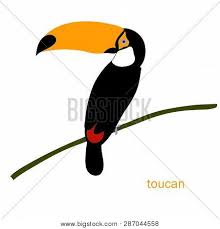 Alphabet letters & numbers drawing. Cute Toucan Bird Vector Photo Free Trial Bigstock