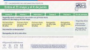 La vacunación se llevará a cabo en etapas de acuerdo a los grupos establecidos y se realizará en forma gratuita, equitativa y voluntaria. Calendario De Vacunacion Masiva Contra Covid 19 Ministerio De Salud Gobierno De Chile