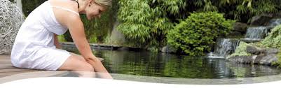 Most beginners believe a pond filter works by removing physical dirt and it is this which keeps the water sparkling clean. Pond Filters Oase