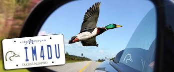The doctor he saw was a quack! Michigan Ducks Unlimited Specialty License Plate