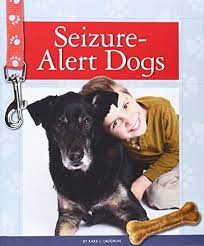 Check spelling or type a new query. How An Epileptic Can Train A Seizure Alert Dog Epilepsy Service Dogs Dog Training Service Dog Training