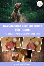 Bio kokosnussöl ist ein natürliches mittel mit effektiver wirkung gegen zecken. Naturlicher Zeckenschutz Fur Hunde Kokosol Atherische Ole Aroma 1x1