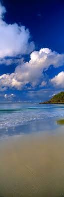 Pacific Ocean Noosa Beautiful Beaches Beautiful Places Scenery