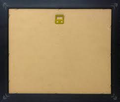 Image result for Agelaea pentagyna