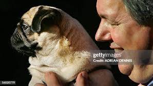 14 Tony Baldry Stock Photos, High-Res Pictures, and Images