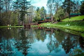 When choosing where to stay in asheville, you'll discover perfect options suited to your own travel style. Asheville Cabins Of Willow Winds Bewertungen Fotos Preisvergleich Nc Tripadvisor